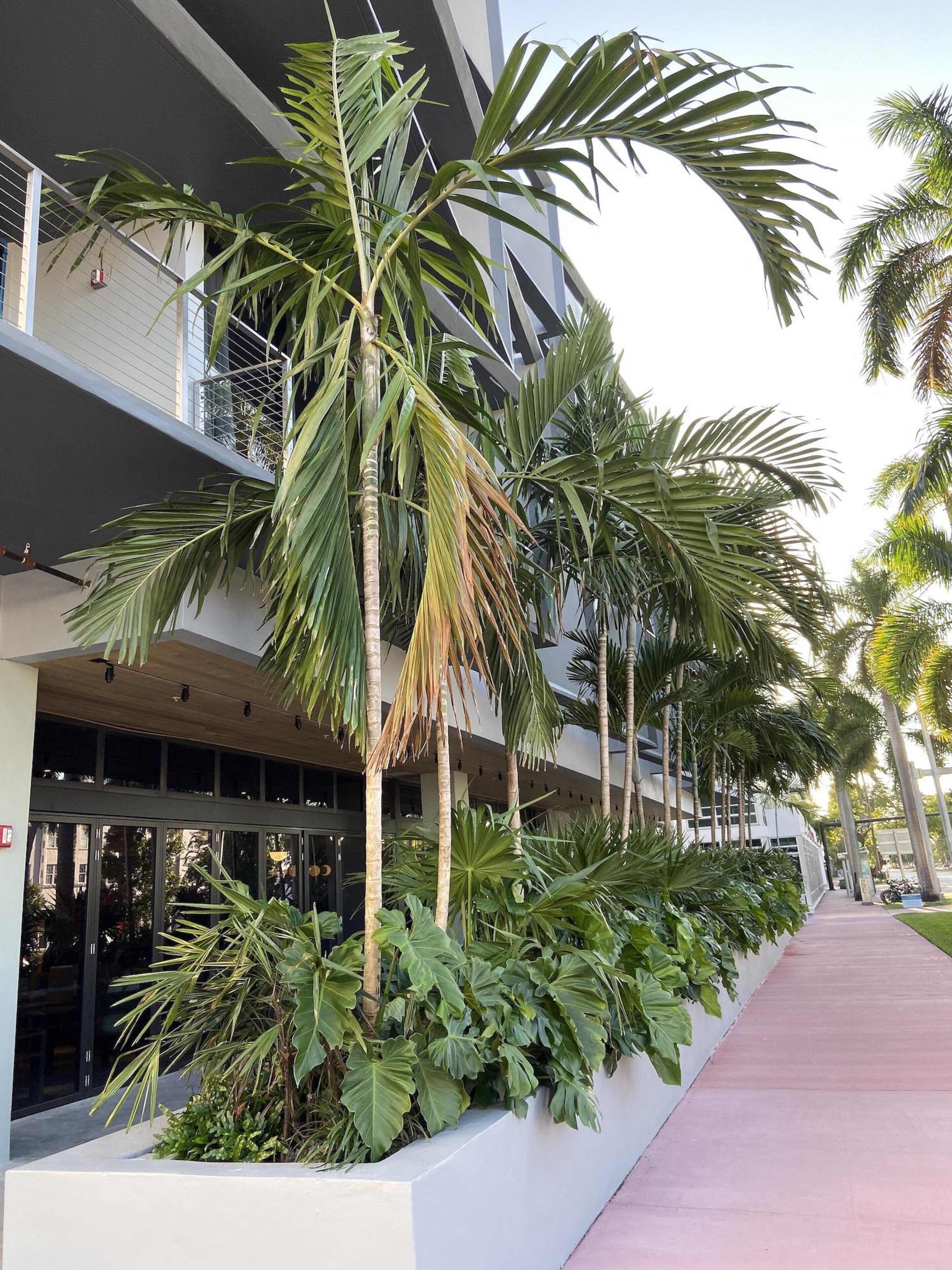 Hotel Urbanica Euclid Miami Beach Zewnętrze zdjęcie